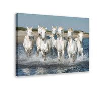 FGFGH Horse Wall Art Pictures Animal Prints Running Horses Paintings Poster 7 Canvas Poster Frame-style 16x24inch(40x60cm)