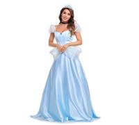 FGRID Women Halloween Costumes, Fairy Tale Cinderella Princess Dress, Adult Sexy Cosplay Party Full Length Dress Up Outfit,Blue,XL