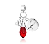 FGT Capricorn Zodiac Dangle Charm fit Pandora Charm Moments Bracelets Sparkling Red January Birthstones