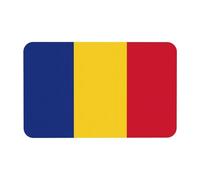 Fgwaauh Flag Of Romania Diatomaceous Earth Shower Mat, Non-Slip Super Absorbent Quick Drying Bathroom Floor Mat