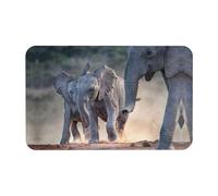 Fgwaauh Two Elephants Playing Diatomaceous Earth Shower Mat, Non-Slip Super Absorbent Quick Drying Bathroom Floor Mat
