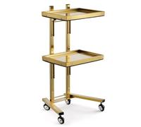 FGXHHS 3-Tier Rolling Metal Storage Cart Stainless Steel Tray for Beauty & Kitchen nization Mobile Utility Trolley with Wheels Stylish Home Decor Solution