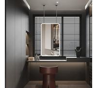 FGXHHS LED with Lights，Wall Mounted Lighted Vanity Mirrors Black Metal Frame and Double Boom，Ceiling Hanging Decor for Living Room Bedrooms(40cmx60cm)