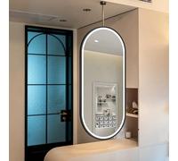 FGXHHS Oval Bathroom Mirror with LED Lights，Ceiling Hanging Wall Mounted Vanity Mirrors Rod，Metal Framed Floating Decor Mirrors，3 Colors Dimmable Light(40cmx60cm)
