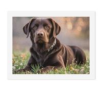 FHECVBN Paint by Numbers Kit for Adults Beginners Brown Labrador Retriever Adult Paint by Number Kits DIY Digital Painting Kit Acrylic Oil Painting Kits Home Wall Decor 30x40cm