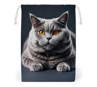 FHESDCW A Gray Cat Is Lying Drawstring Bag Canvas, Reusable Travel Jewelry Pouches, Washable Storage Bags for Gift, Candy, Cosmetics 20 * 25cm