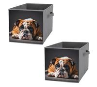 FHESDCW A Sad Bulldog Foldable Storage Box with Handles, Durable Oxford Storage Cubes, 2PCS Collapsible Closet Organizer for Home, Shelf, Office, Travel