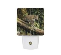 FHESDCW Cat on Tree Trunk Waterfall Night Lights Plug Into Wall, LED Nightlights Auto On/Off Dusk to Dawn Sensor, Energy Efficient Night Lamp Soft Glow for Hallway Bedroom Bathroom Kitchen, 0.5W