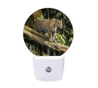 FHESDCW Cat on Tree Trunk Waterfall Night Lights Plug Into Wall, LED Nightlights Auto On/Off Dusk to Dawn Sensor, Energy Efficient Night Lamp Soft Glow for Hallway Bedroom Bathroom Kitchen, 0.5W