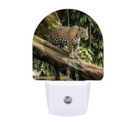 FHESDCW Cat on Tree Trunk Waterfall Night Lights Plug Into Wall, LED Nightlights Auto On/Off Dusk to Dawn Sensor, Energy Efficient Night Lamp Soft Glow for Hallway Bedroom Bathroom Kitchen, 0.5W