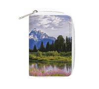 FHESDCW Grand Teton National Park Leather Card Bag Credit Card Holder Zipper Wallet With 20 Card Slots Slim Wallet Debit Card Protector Organizer Case, style, 16x11.5cm
