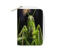 FHESDCW Grasshopper on Grass Leather Card Bag Credit Card Holder Zipper Wallet With 20 Card Slots Slim Wallet Debit Card Protector Organizer Case, style, 16x11.5cm