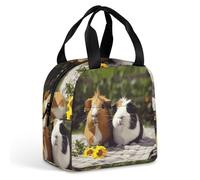 FHESDCW Insulated Lunch Bag Guinea Pigs Funny Reusable Meal Tote Bag Lunch Box Lunch Containers Leakproof Lunchbox Cooler for Picnic Travel Meal Prep