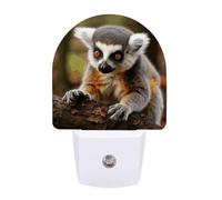 FHESDCW Monkey Lemur Cute Night Lights Plug Into Wall, LED Nightlights Auto On/Off Dusk to Dawn Sensor, Energy Efficient Night Lamp Soft Glow for Hallway Bedroom Bathroom Kitchen, 0.5W