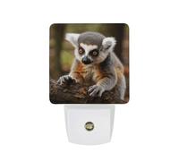 FHESDCW Monkey Lemur Cute Night Lights Plug Into Wall, LED Nightlights Auto On/Off Dusk to Dawn Sensor, Energy Efficient Night Lamp Soft Glow for Hallway Bedroom Bathroom Kitchen, 0.5W