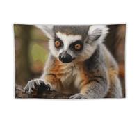 FHESDCW Monkey Lemur Cute Tapestry for Bedroom Aesthetic - Lightweight Wall Hanging Backdrop Vintage Wall Art Tapestry Easy to Hang for Living Room Dorm Home Decor 60"x90"