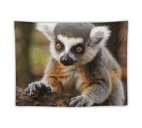FHESDCW Monkey Lemur Cute Tapestry for Bedroom Aesthetic - Lightweight Wall Hanging Backdrop Vintage Wall Art Tapestry Easy to Hang for Living Room Dorm Home Decor 30"x40"
