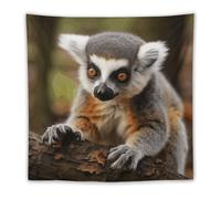 FHESDCW Monkey Lemur Cute Tapestry for Bedroom Aesthetic - Lightweight Wall Hanging Backdrop Vintage Wall Art Tapestry Easy to Hang for Living Room Dorm Home Decor 60"x60"