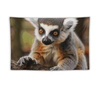FHESDCW Monkey Lemur Cute Tapestry for Bedroom Aesthetic - Lightweight Wall Hanging Backdrop Vintage Wall Art Tapestry Easy to Hang for Living Room Dorm Home Decor 40"x60"