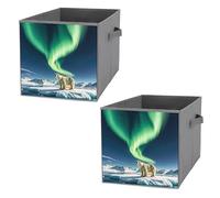 FHESDCW Northern Lights Polar Bear Foldable Storage Box with Handles, Durable Oxford Storage Cubes, 2PCS Collapsible Closet Organizer for Home, Shelf, Office, Travel