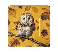 FHESDCW Owl Branch Picnic Blanket with Zippered Tote Bag, Waterproof Portable Outdoor Blanket, Lightweight Foldable Outdoor Mat for Beach, Camping, Park, 200x200cm