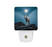 FHESDCW The White Wolf on The Rock Night Lights Plug Into Wall, LED Nightlights Auto On/Off Dusk to Dawn Sensor, Energy Efficient Night Lamp Soft Glow for Hallway Bedroom Bathroom Kitchen, 0.5W