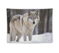 FHESDCW Wolf in The Snow Tapestry for Bedroom Aesthetic - Lightweight Wall Hanging Backdrop Vintage Wall Art Tapestry Easy to Hang for Living Room Dorm Home Decor 60"x80"
