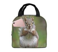 FHESDMN Red Squirrel Printed Insulated Lunch Bag for Adults/Kids, Lunch Box Cooler Bag Cooling Tote for Women/Men - Work and Travel Lunch Box