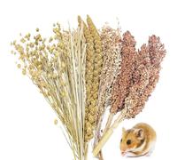 Fhiny Natural Hamster Sprays Edible Hamster Bedding Air-Dried Grain Set for Habitat Decor Mice Cage Accessories for Gerbils Lemmings Parrots Rats and Other Small Animals（0.4lb）