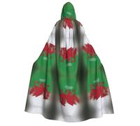 FHIZOAL Welsh Dragon Adult Hooded Cloak Vampire Witch Cape Halloween Christmas Cosplay Costumes Themed Parties