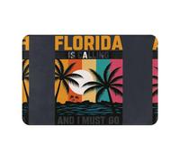 FHIZOAL We'Re Going To Florida Non-Slip Flannel Doormat Home Decor Floor Mat Bathroom Kitchen Front Back Door Entrance