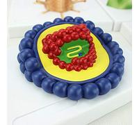 FHSLKXIM Scientific Anatomical Human Model, Model Of Microbiological Virus Baculovirus Adenovirus Anatomy Model For Educational Study