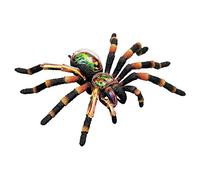 FHUILI Spider Anatomy Models - Animal Anatomical Model - Removable 33 Parts Organs And Body Parts Medical Teaching Model- Simulation Marine Organism - for Study Diaplay Teaching