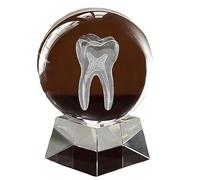 FHUILIJH 3D Human Crystal Tooth Model,Crystal Engraved Tooth Model, for Medical School Opening Graduation Gift,Clear,6cm