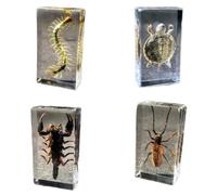 FHUILIJH 4 Pcs Real Insect Specimen Turtle Scorpions Centipede Beetles In Resin Paperweight Collection Science Classroom Education Toy,Clear,74mm