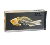 FHUILIJH Fish Skeleton Model Embedded Fish Skeleton Anatomy Specimen for Science Classroom Science Education,Clear,16cm