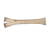 FHUILIJH Flesh,33cm, Taxidermy Real Camel Leg Skeleton Animals Bone Model Real Bones Specimen for Vet Teaching Study,Home Bar Decoration Collection