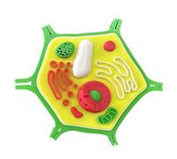 FHUILIJH Plant Cell Model - 3D Printed Plant Cell Anatomy Model - for Biology Anatomy and Science Projects,Flesh,11c