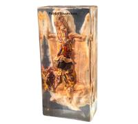 FHUILIJH Rabbit Anatomy Specimen Animal Embedded Specimen Resin Specimen Biology Teaching Animal Education Ornament Gift,Clear,25cm
