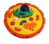 FHUILIJH Removable Animal Cell Model - 3D Animal Cell Model - for Study Display Teaching Medical Model,Flesh,11cm