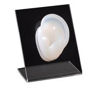 FHUILIJH Simulation Silicone Three-Dimensional False Ear Model Jewellery Display Earphone Display Piercing Practice Model,clear B,6cm