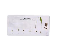 FHUILIJH Specimen of the Growth History of Sorghum Model Real Plants Growing Bean Specimens for Science Education,Clear,16CM