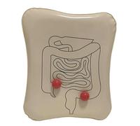 FHUILIJH Stoma Model - Ostomy Bag Replacement Stoma Care Model - Entero-Urinary Stoma Model for Scientific Research Teaching,Flesh,25cm