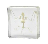 FHUILIJH Taxidermy Bat Specimen, Real Bat Specimens, for Science Classroom Science Education,B,7.5cm