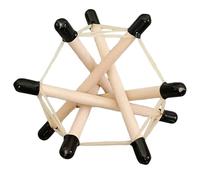 FHUILIJH Tension Integral Model, Pelvic Tensioning Holistic Model, for Dynamic Anatomy Demonstration Tool,Flesh,12CM