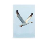 fhujgg Animal Poster A Goose Flying in A Perfect V Formation Poster Wall Art Canvas Aesthetic Cover Painting for Living Room Bed Room 16x24inch(40x60cm) Unframe-style