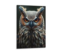 fhujgg Animal Poster Realistic Owl Vivid Feathers Poster Wall Art Canvas Aesthetic Cover Painting for Living Room Bed Room 24x36inch(60x90cm) Frame-style