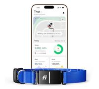 Fi Series 3+ Smart Dog Collar - GPS Dog Tracker and Activity & Fitness Monitor, Waterproof, LED Light, Escape Alerts, Nationwide Coverage [Free 6 Month Membership] (Blue, Large)