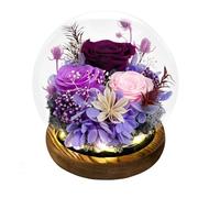 FIACO Gifts for Mom Women Birthday Preserved Flowers in Glass Dome Forever Fresh Flowers for Delivery Prime Long-Lasting Eternal Roses Gifts for Grandma Sister Daughter Wife Her Girlfriend Purple