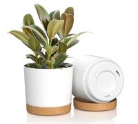 FIASON Plant Pots, 2 PCS 6.5 inch Plastic Planter with Drainage Hole and Saucer, Simple, Beautiful, Durable, Flower Pot for Indoor, Outdoor, House Plants, Succulents, Flowers (White)